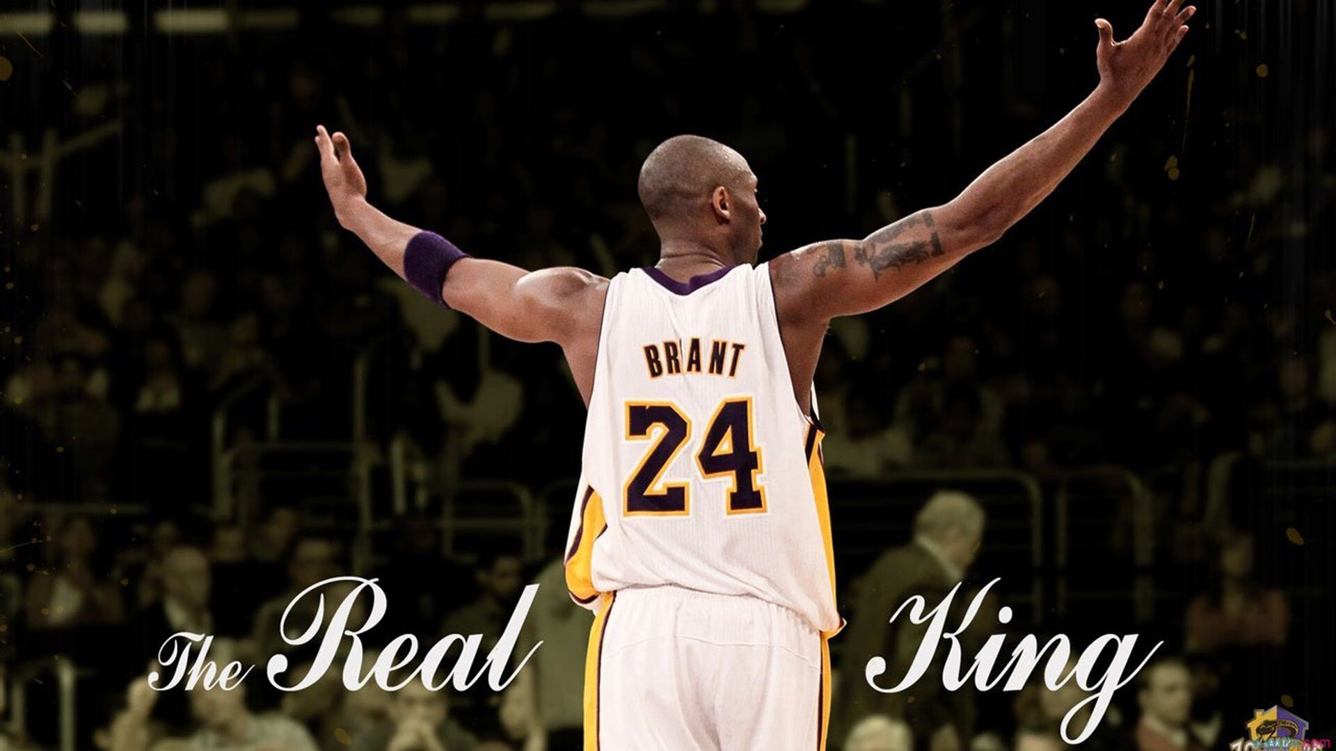 从南非到英超，布鲁诺的统治力如何跨越大陆定义冠军时刻